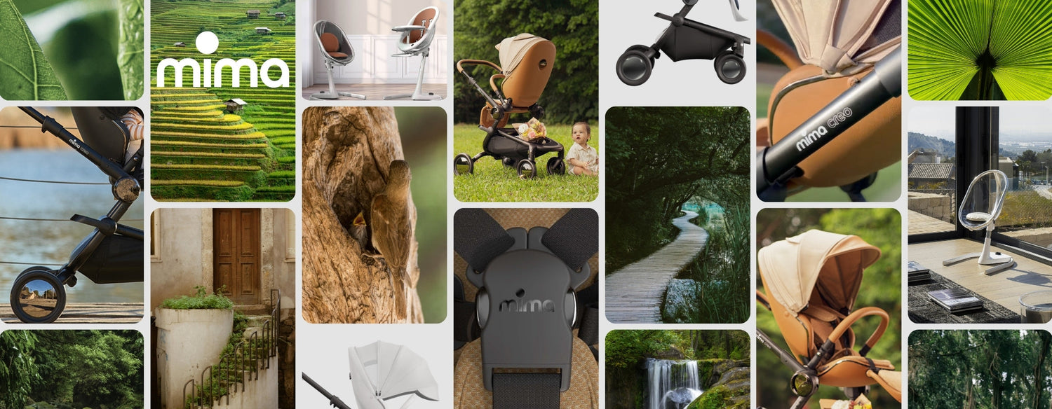 Terra Futura Is Now: Redefining Modern Family Living with Sustainable Design