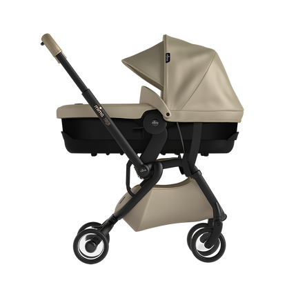 zigi bassinet