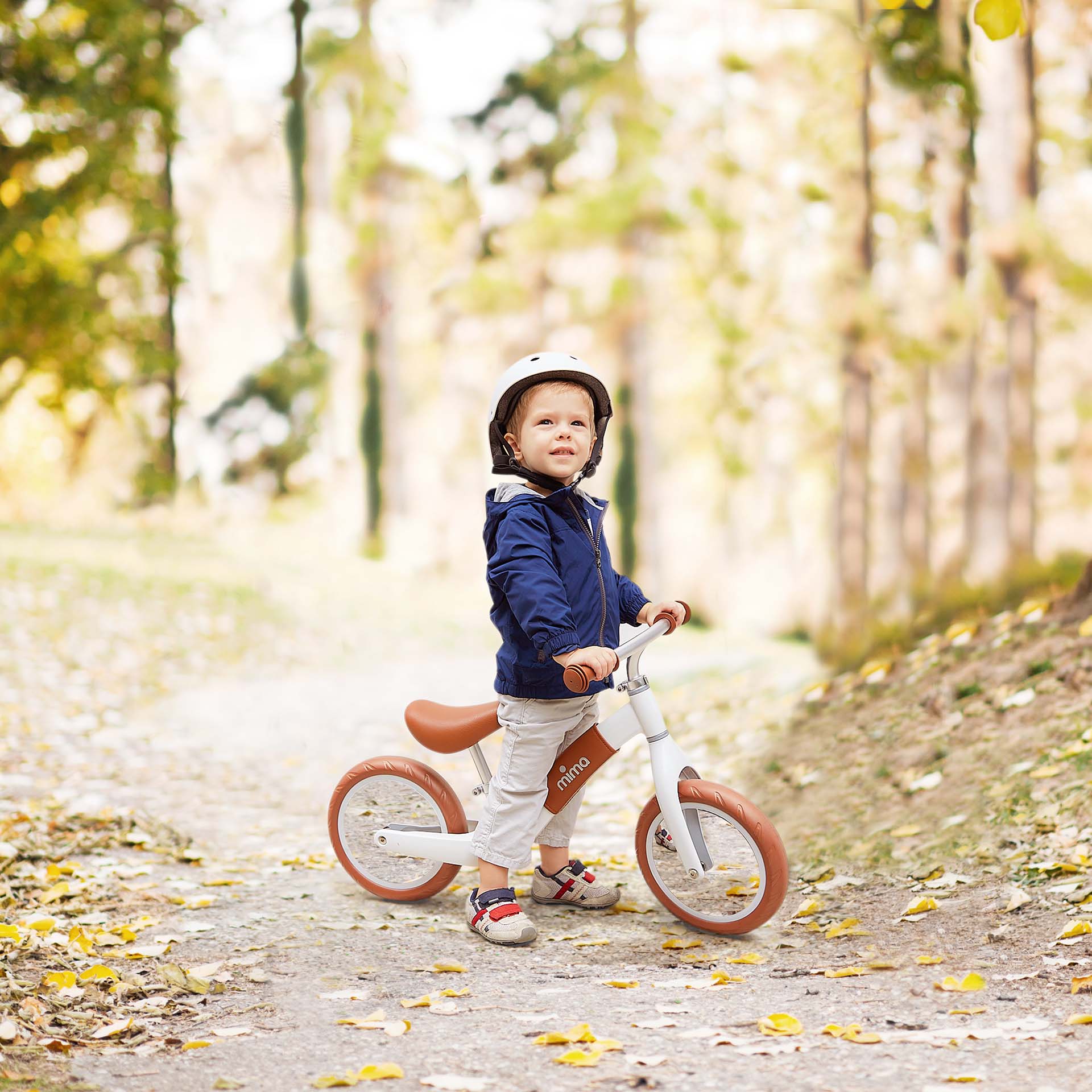 Zebra balance online bike